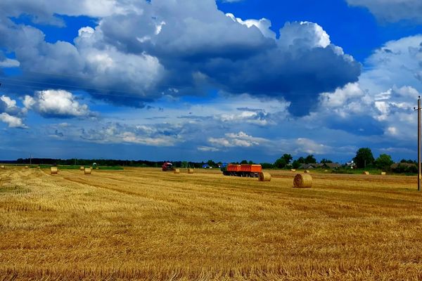 Уборочная кампания - кропотливый период для наших хлеборобов.