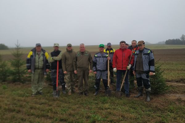 Сотрудники КУП «Гроднооблдорстрой» приняли участие в республиканской акции «Единый день озеленения»